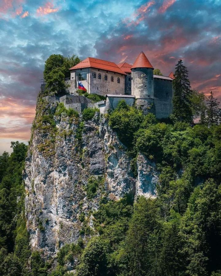 Apartments Violeta Bled Dış mekan fotoğraf
