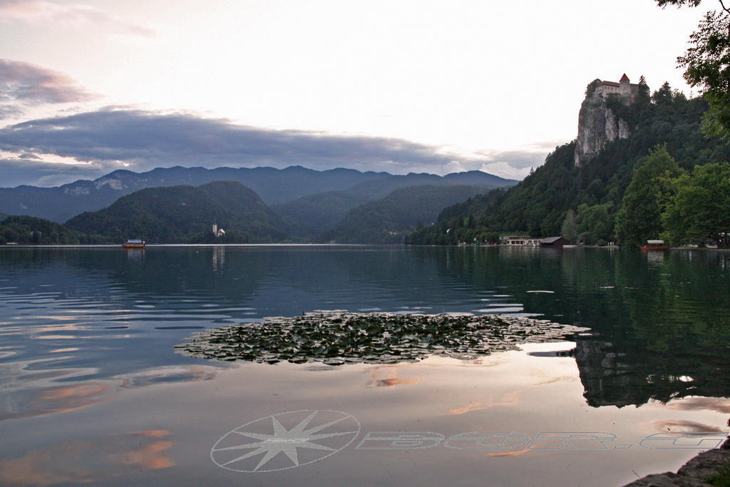 Apartments Violeta Bled Dış mekan fotoğraf